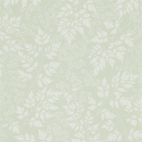 Spring Leaves 216372